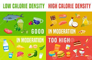 Calorie Density Chart Low density Food To Eat Landscape Medical Poster Stock Vector