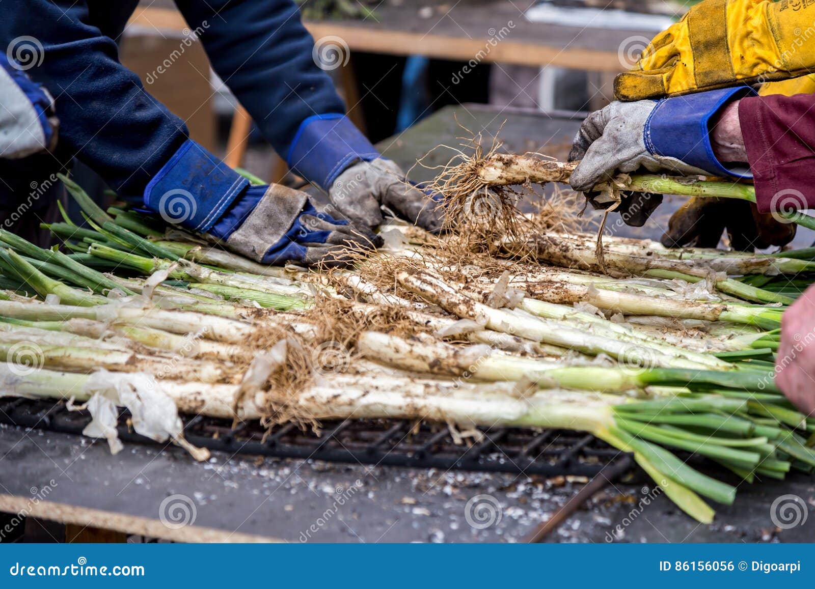 Calsot Onion Cooked on Open Fire,typical Spanish Food Stock Photo