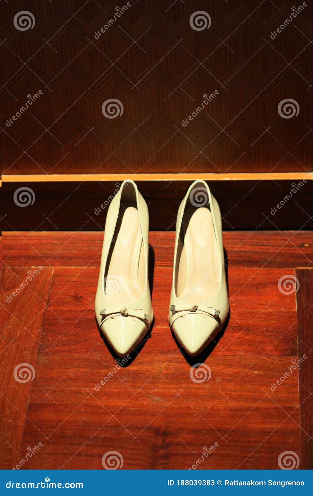 Calzado Blanco Para Mujeres Con Tacones Altos Gruesos Moda Mujeres Zapatos Piso De Madera Imagen de archivo - Imagen de ropa, calidad: 188039383
