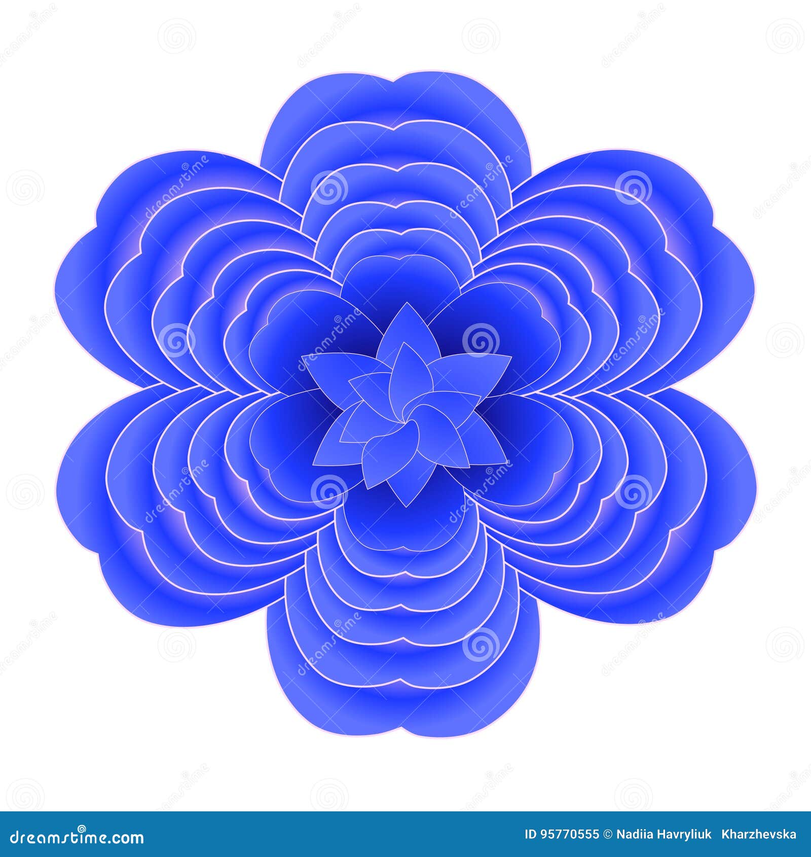Camélia bleu japonais illustration de vecteur. Illustration du dessin -  95770555