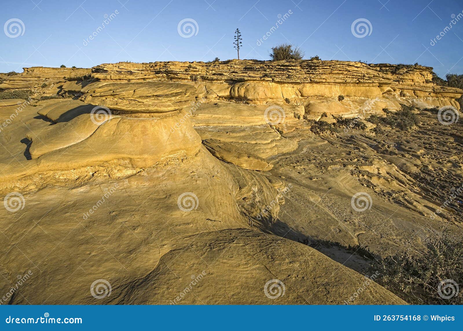 cama de vaca cliffs, faro district, portugal