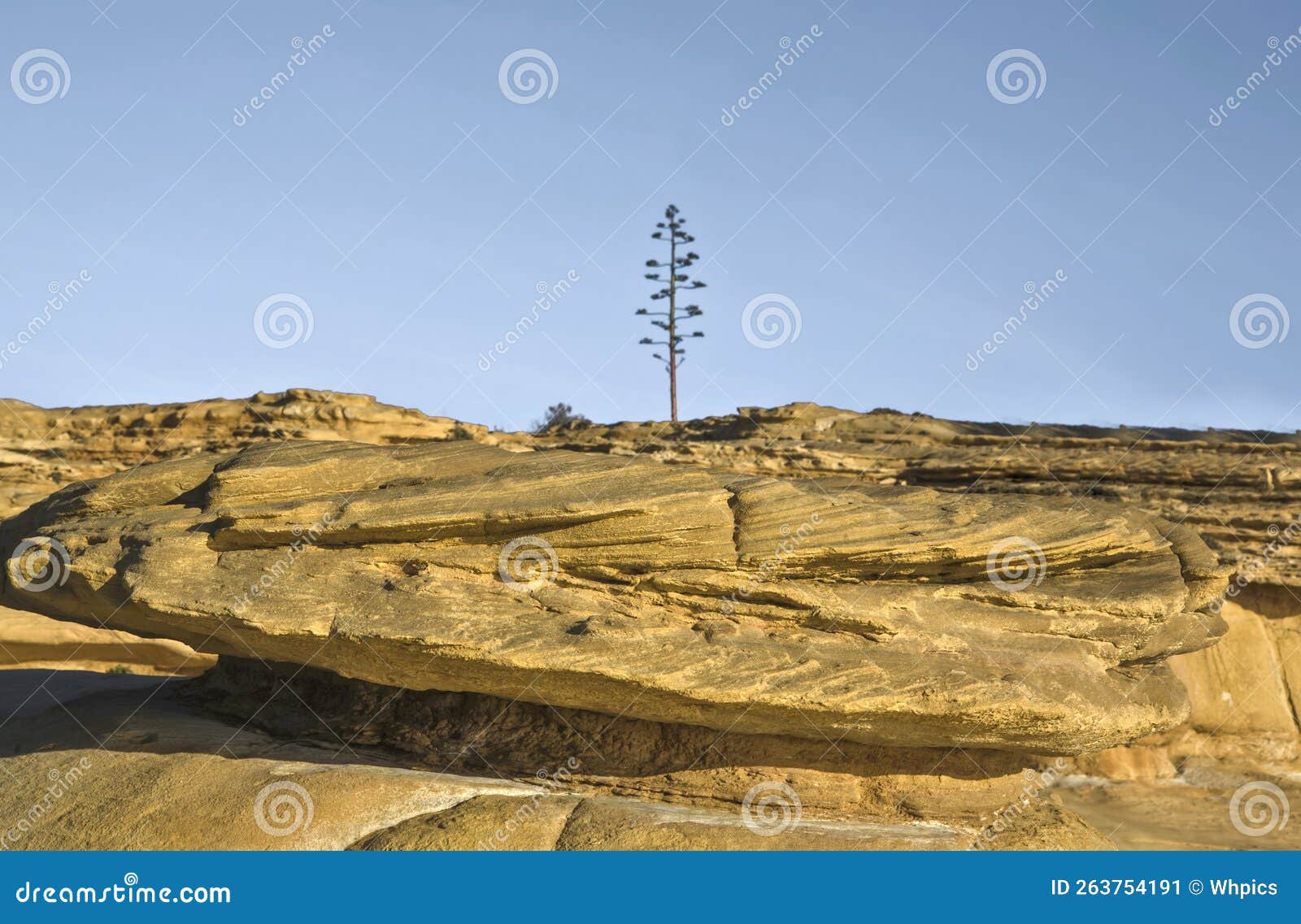 cama de vaca cliffs, faro district, portugal