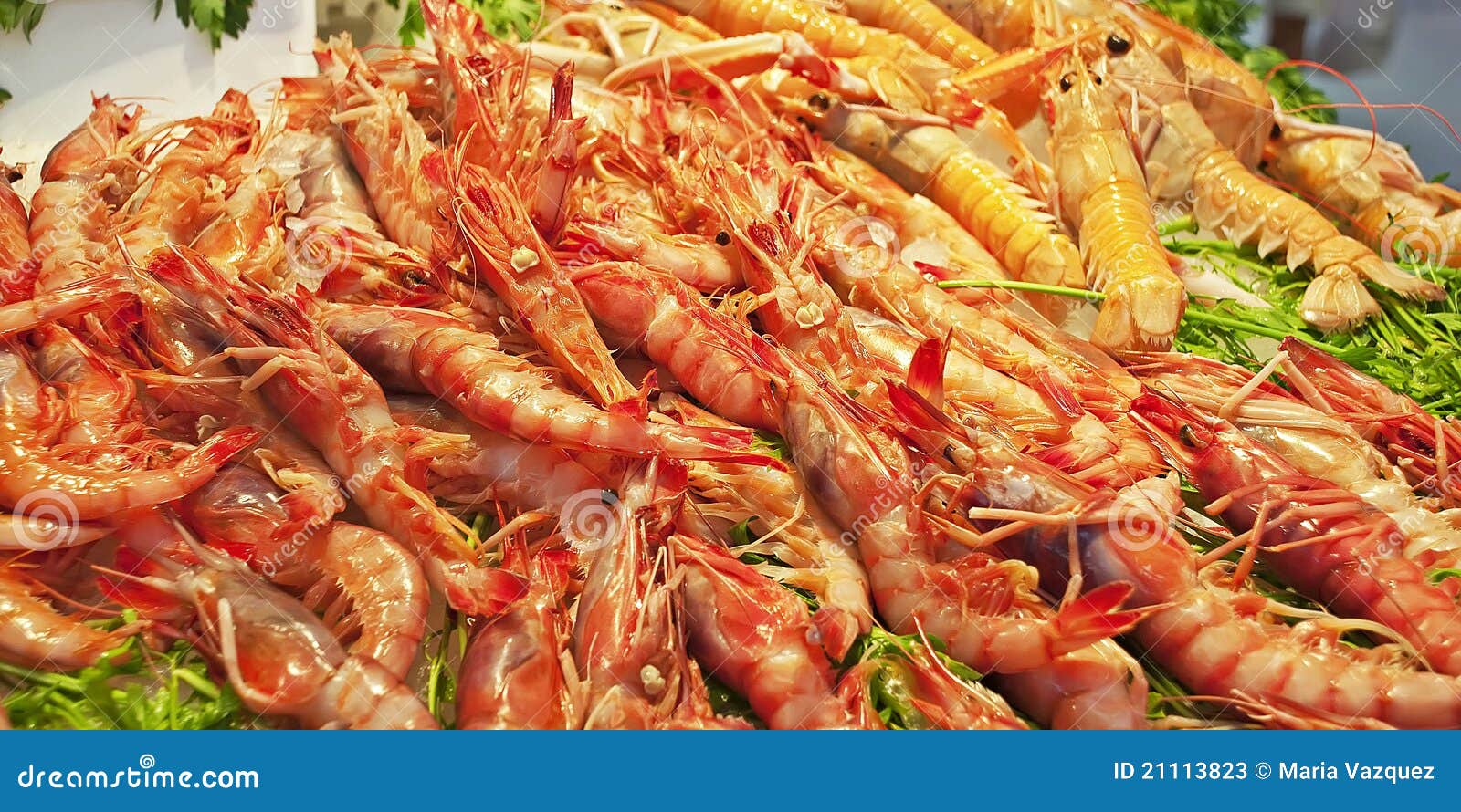 Camarones y gambas imagen de archivo. Imagen de mariscos 21113823