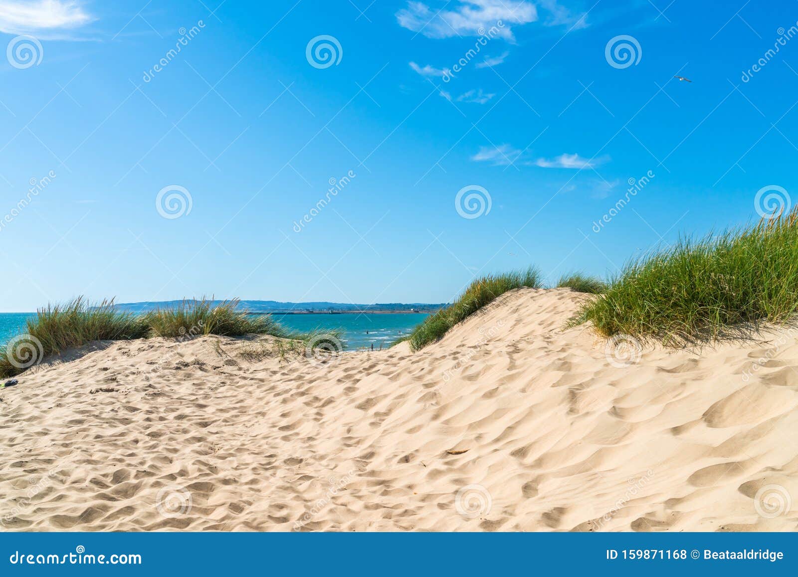 camber sands beach in east sussex