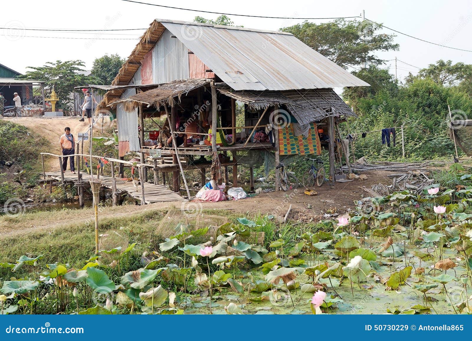 Cambodia. Den kambodjanska bonden förlägga i barack på Siem Reap, Cambodja, nära en odling för lotusblommablommor