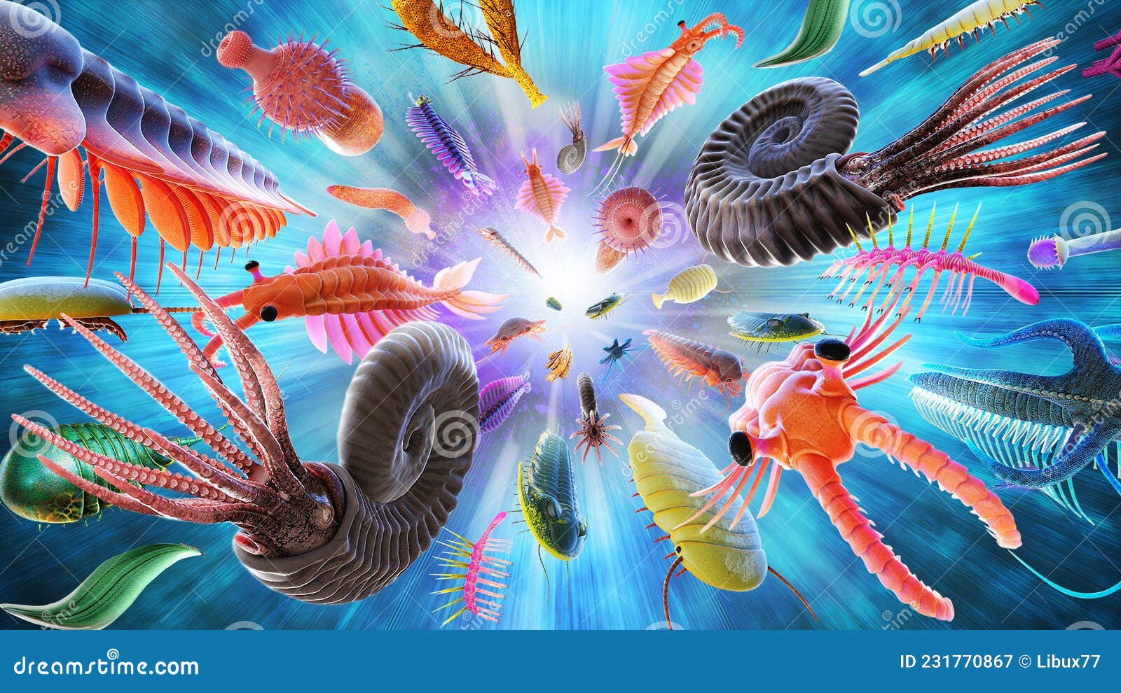 cambrian explosion or cambrian radiation event that was characterized by the appearance of many of the major phyla
