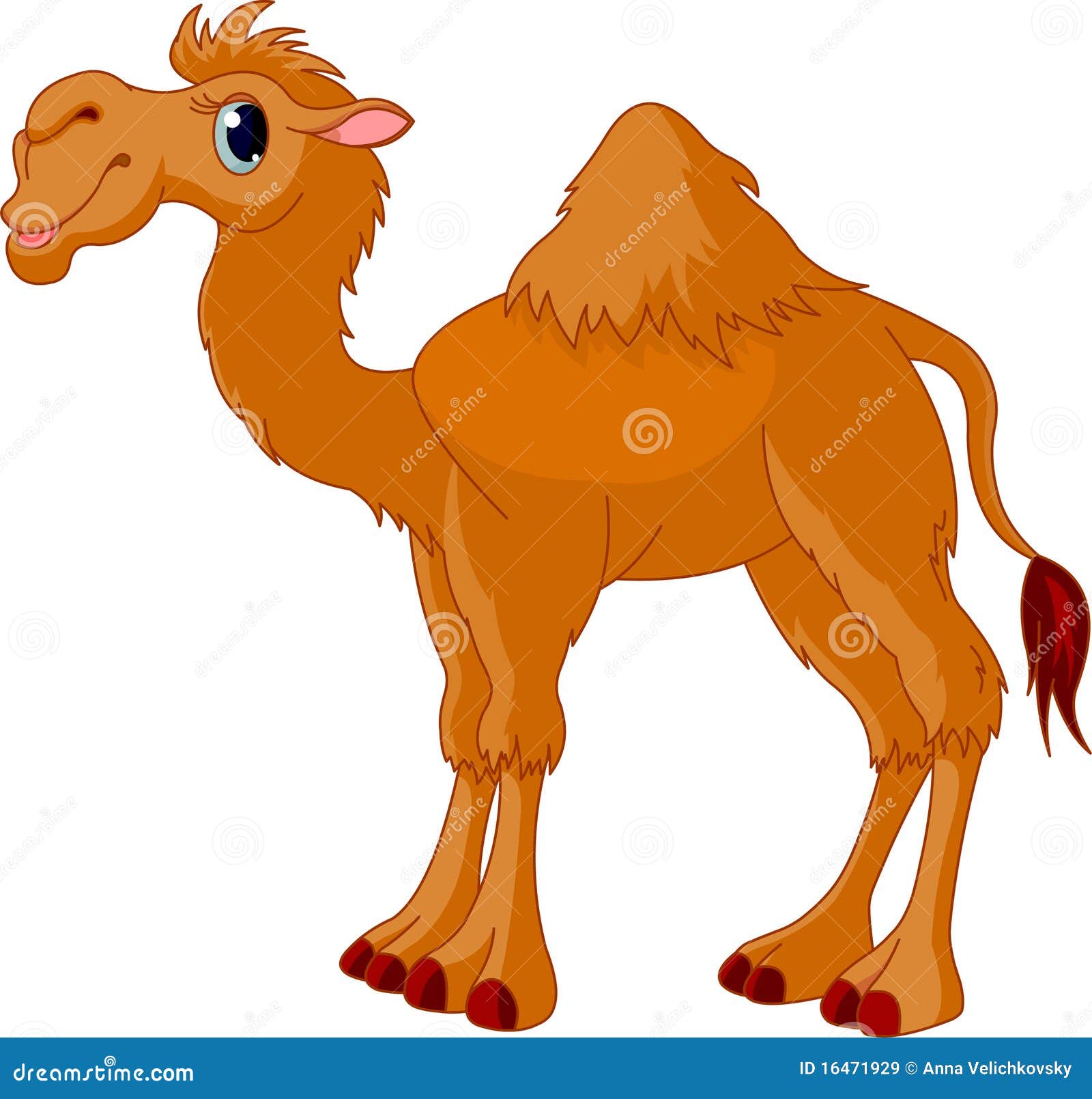 camel