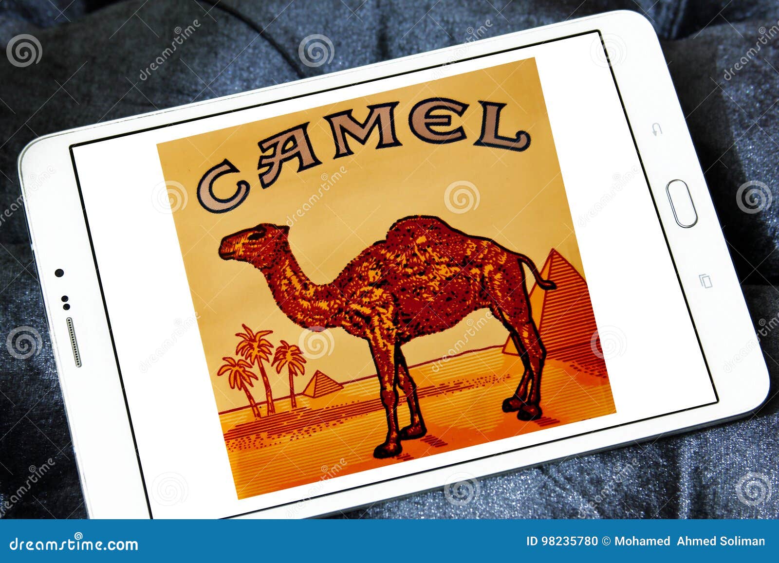 Camel coupons printable free pack