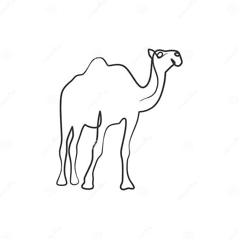 Camel Continuous One Line Art Drawing Stock Vector - Illustration of ...