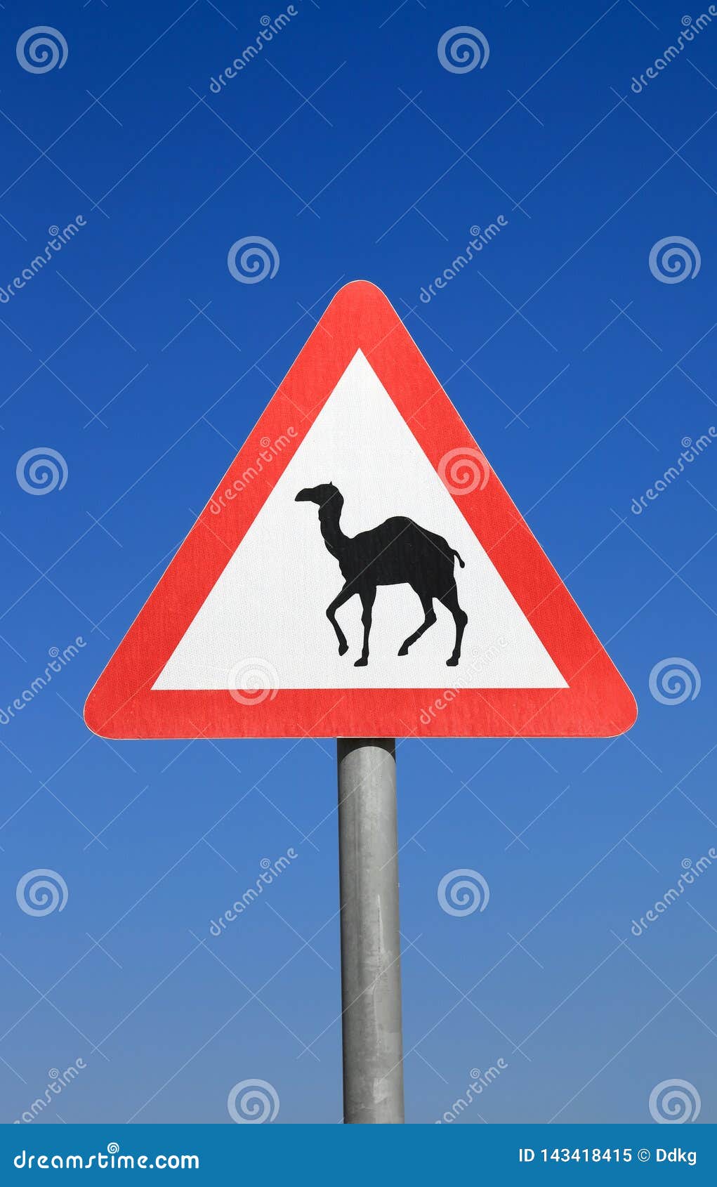 Camel Crossing Sign stock image. Image of traffic, desert 143418415
