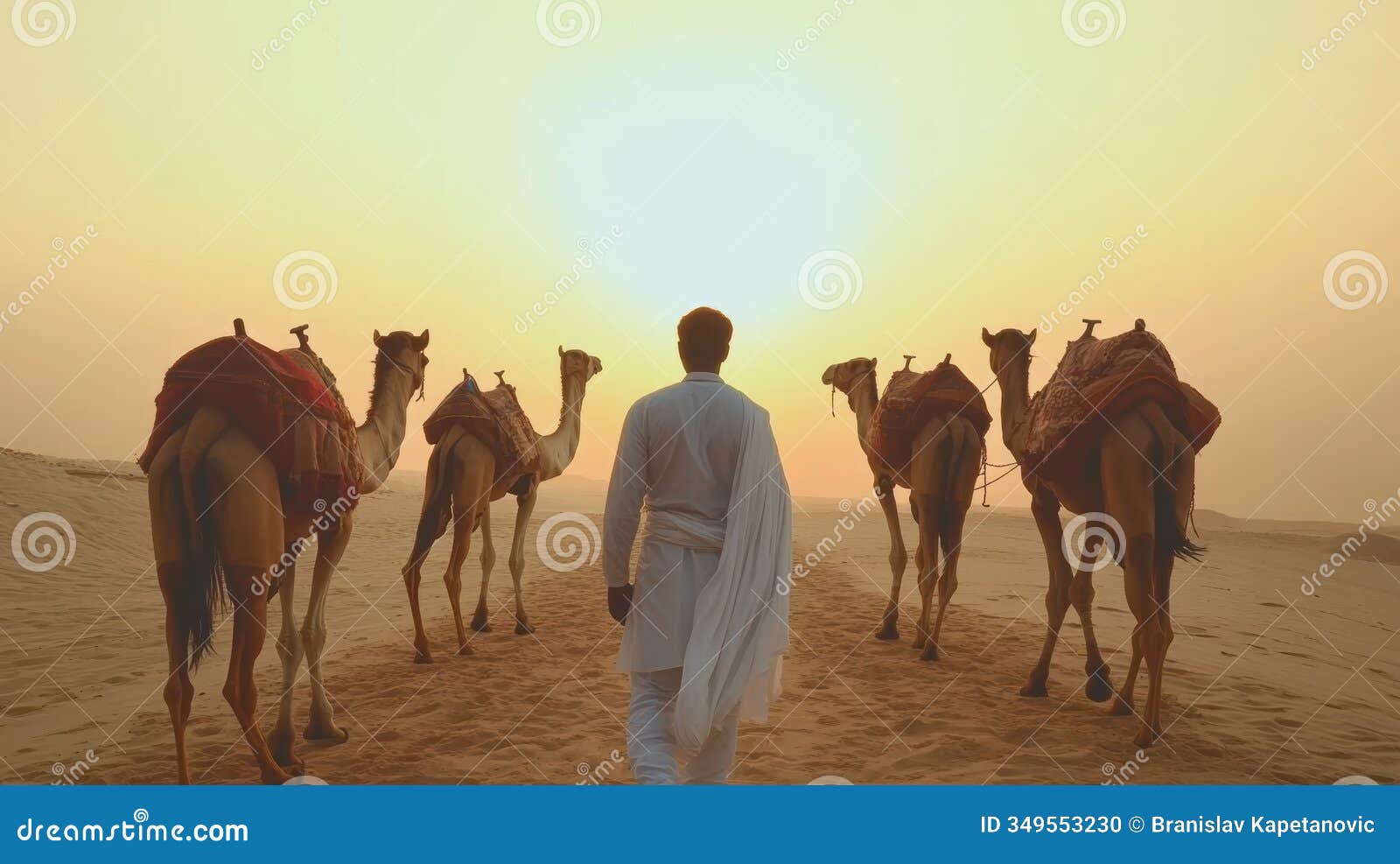 camel driver leading camels through desert at sunrise