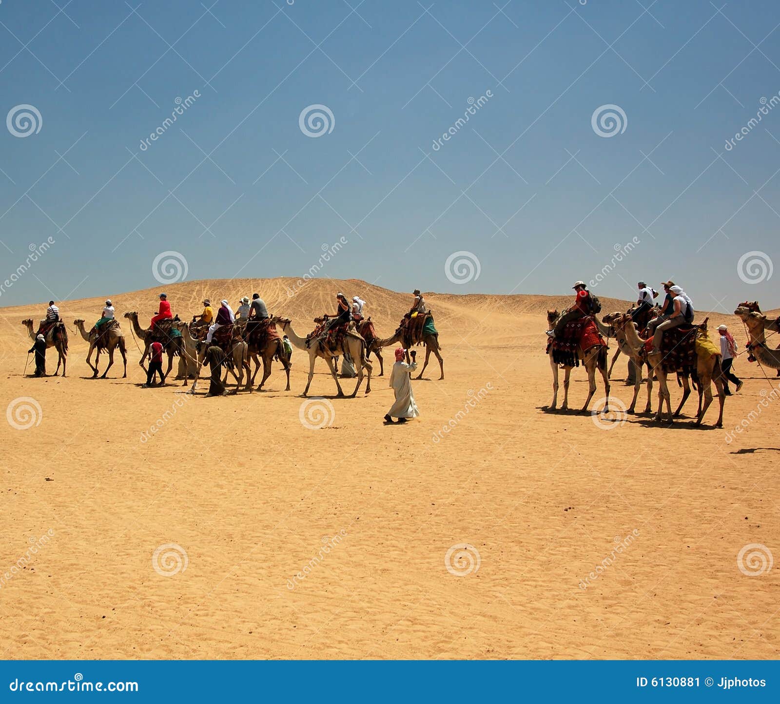 Albums 96+ Images what animal was used to transport goods across the sahara desert? Sharp