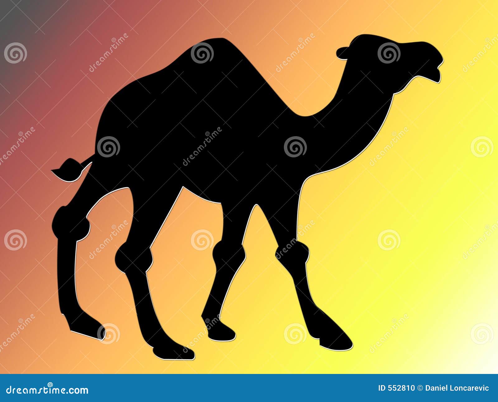 The hot sale black camel
