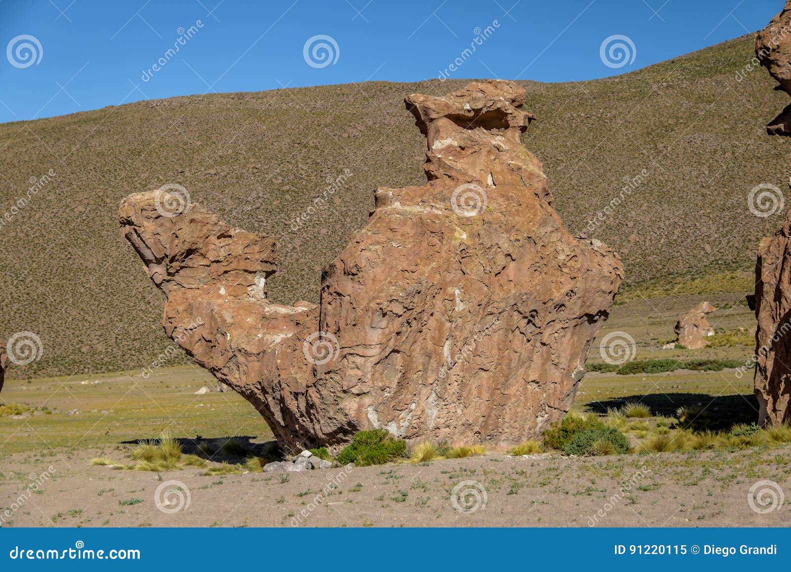 camel rock formation in italia perdida in bolivean altiplano - potosi department, bolivia