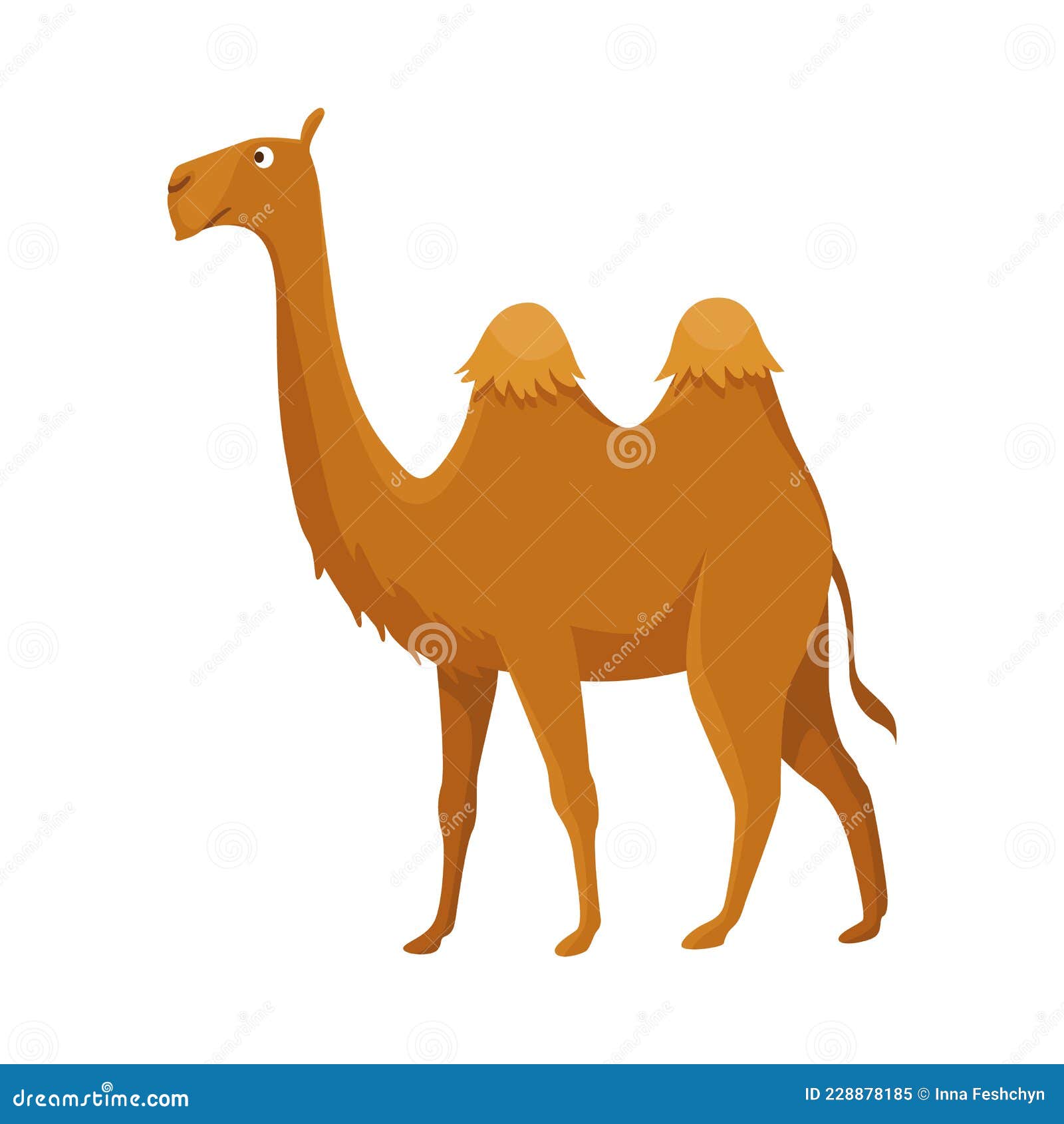 camel with two hump, bactrian. desert animal standing, side view. cartoon . flat icon ,  on white