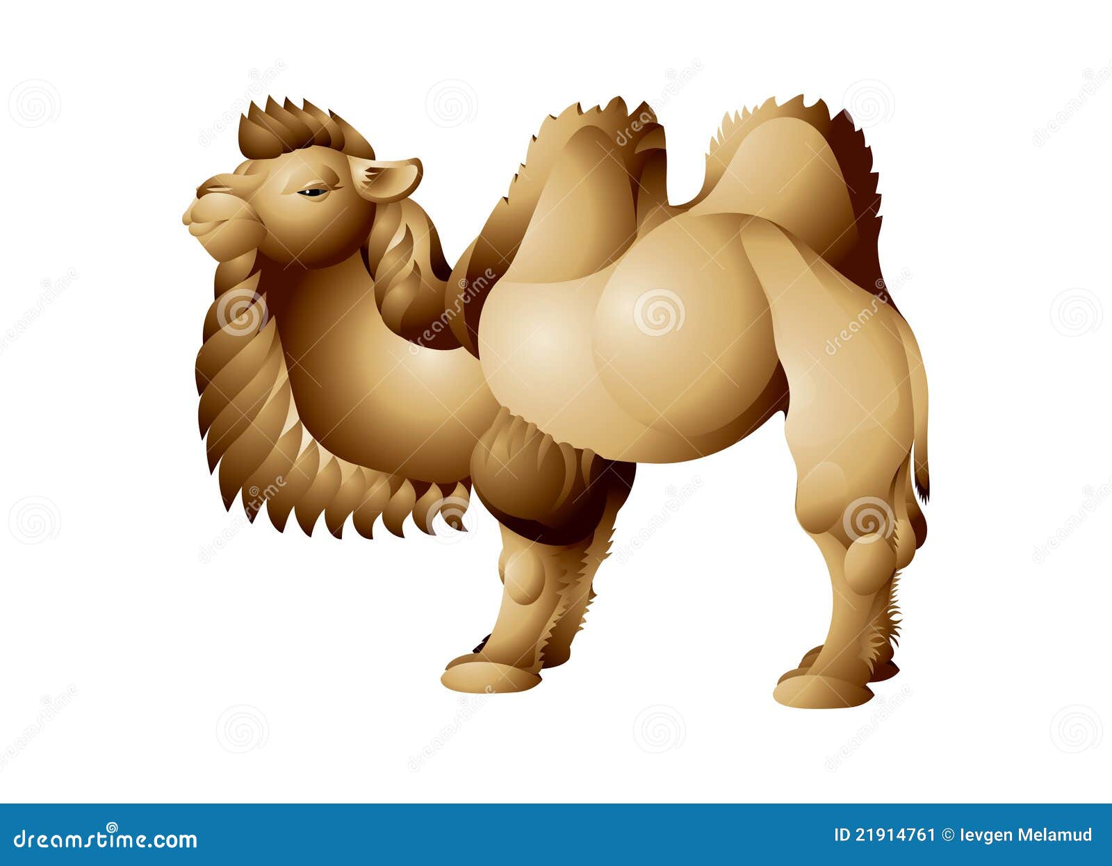 Camel with Two Humps, Bactrian Stock Vector - Illustration of mongolia,  kazakhstan: 21914761