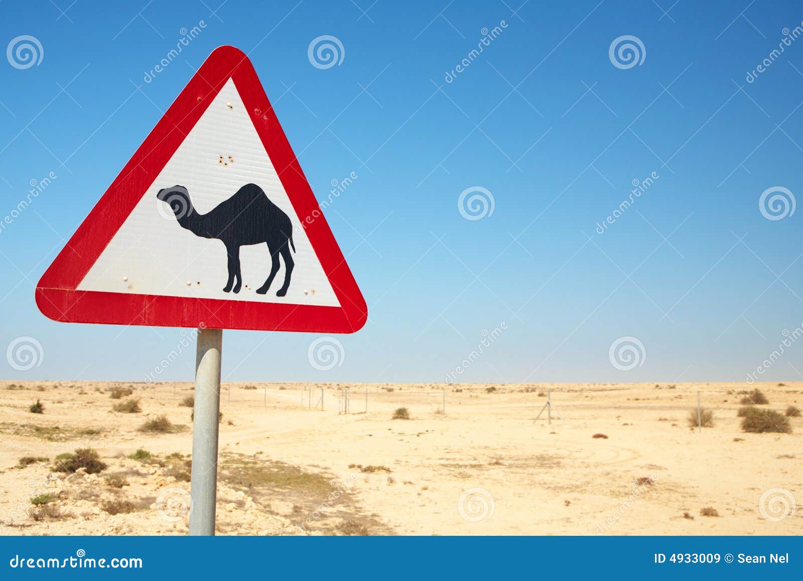 camel warning sign