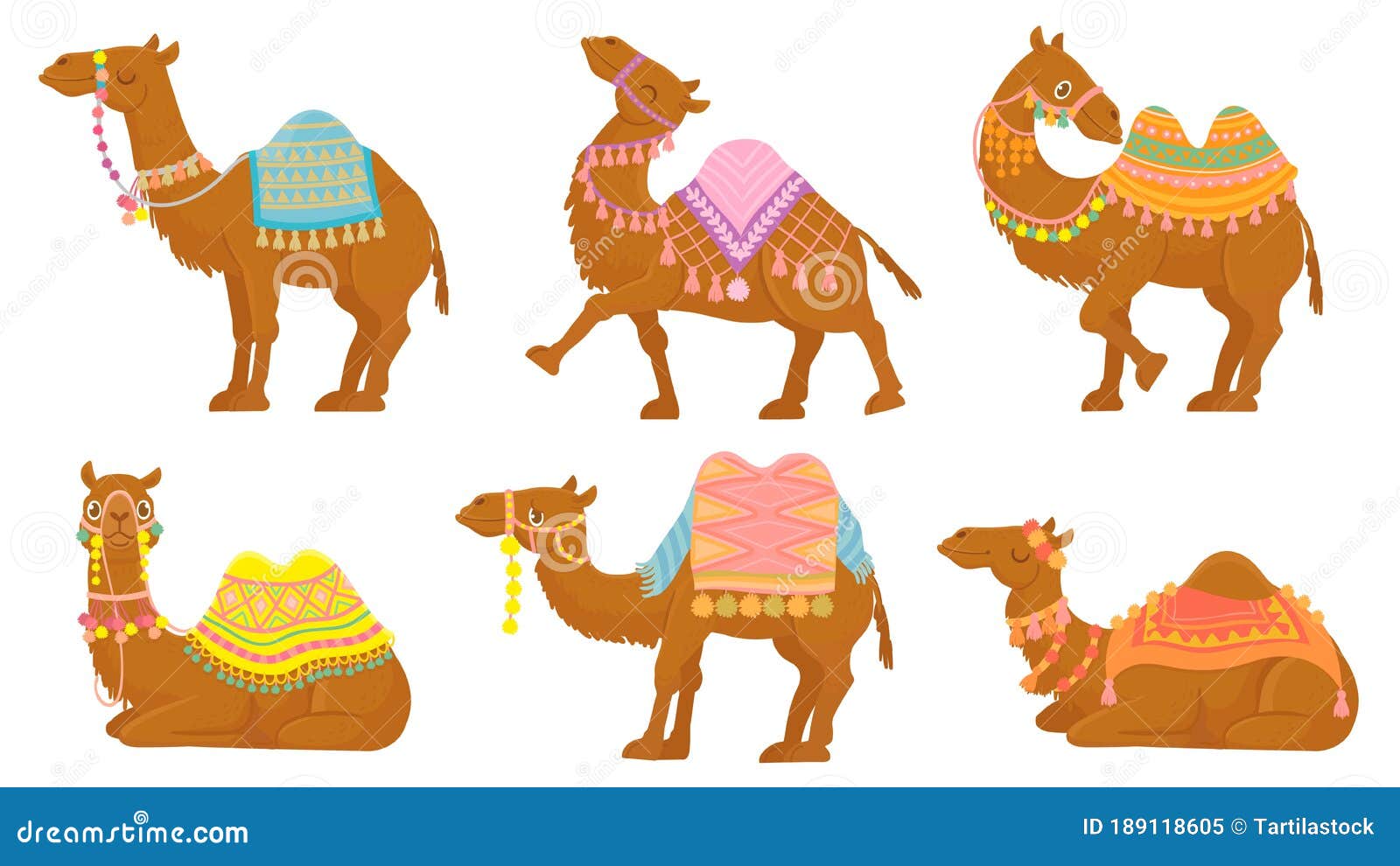 Camello De Dibujos Animados. Animales Del Desierto Divertidos Con Montura.  Conjunto De Caracteres Aislados Del Vector De Los Camel Ilustración del  Vector - Ilustración de arte, frenillo: 189118605