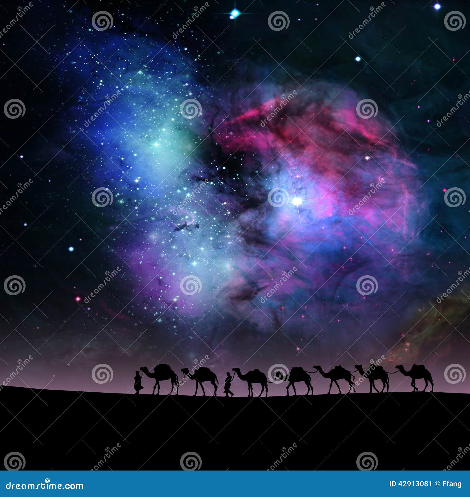 camels in night.