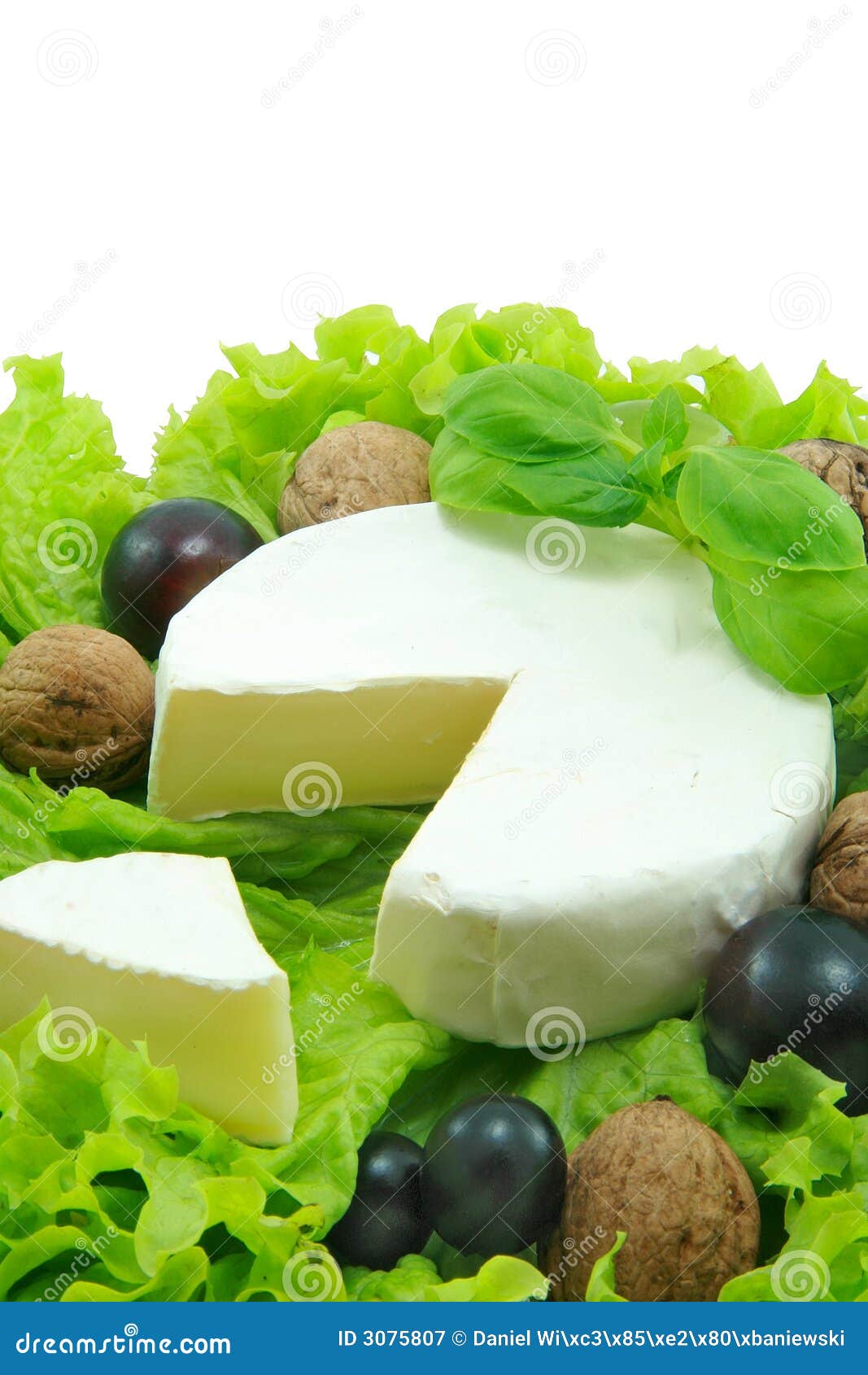 Camembert stock image. Image of camembert, cheese, nutrition 3075807