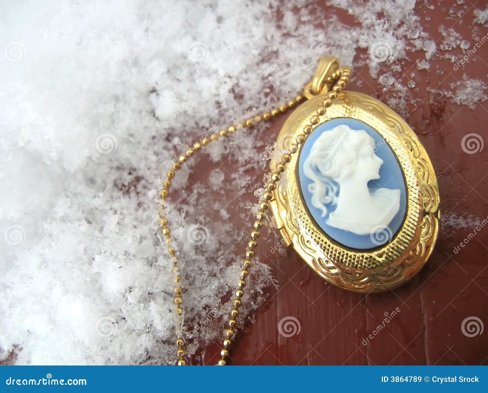 Victorian Lady Cameo Locket Necklace, Large Oval Gold Photo Locket Necklace,  Personalized Gift for Women Mom Wife Girlfriend - Etsy