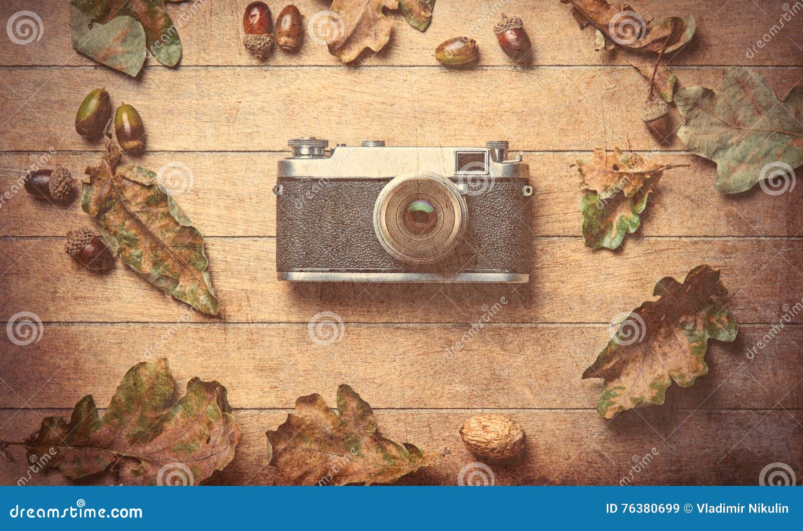 fallen leaf webcam