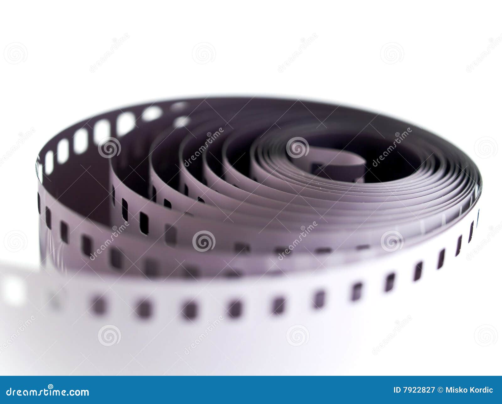 ISO Camera Film Speed Standard Wheel, Numbers In Circle. Stock Vector