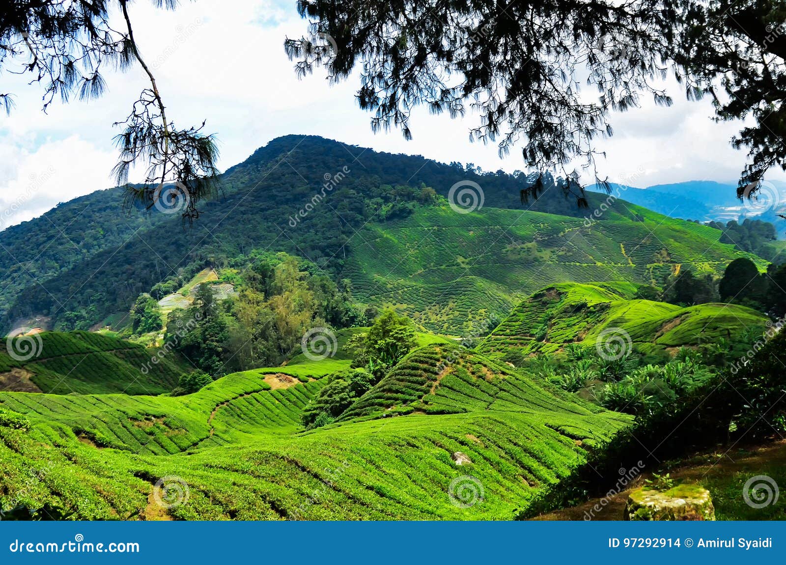 Cameron highland weather