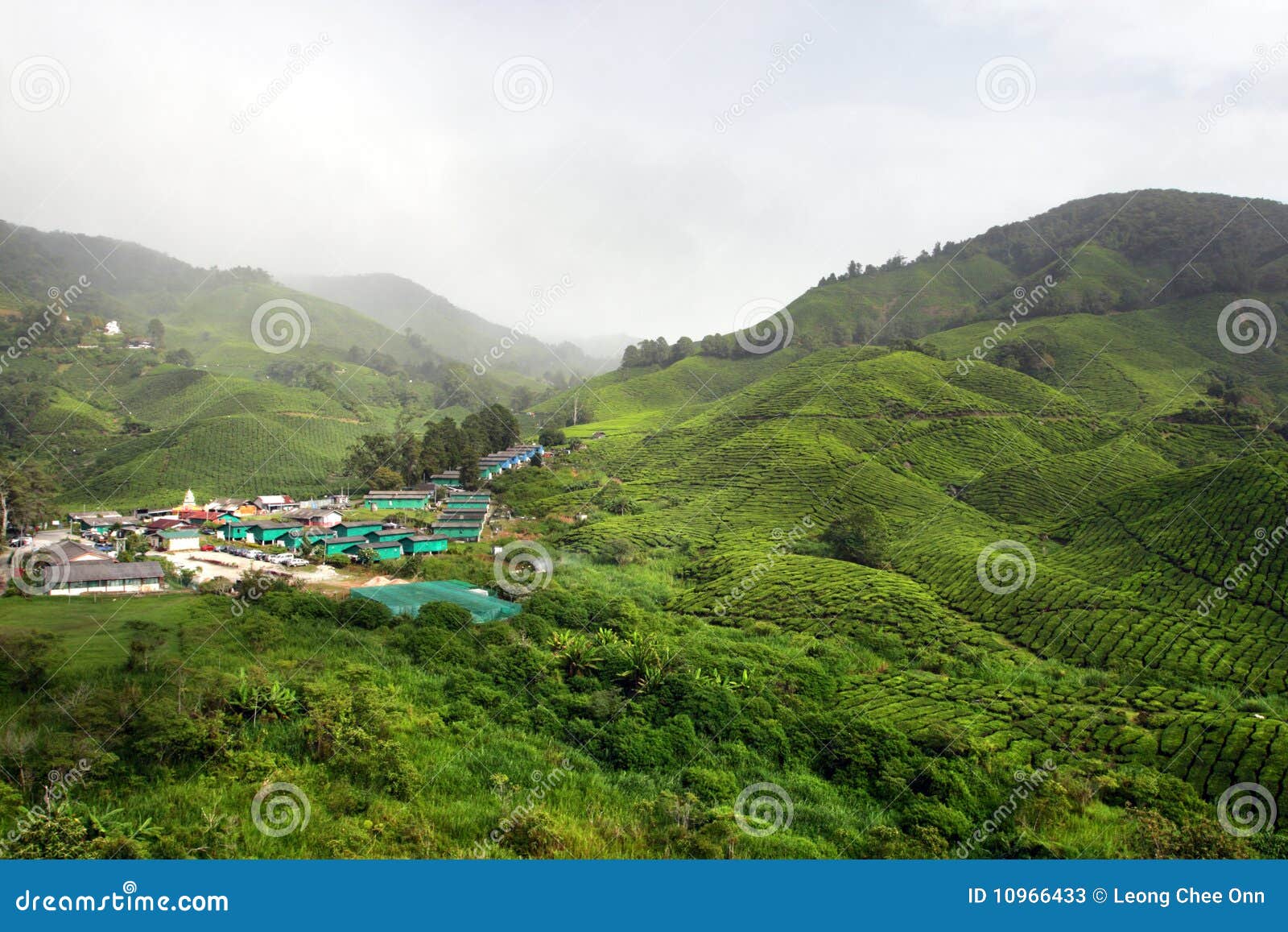 Cameron Highland, Malaysia stock image. Image of climate 10966433