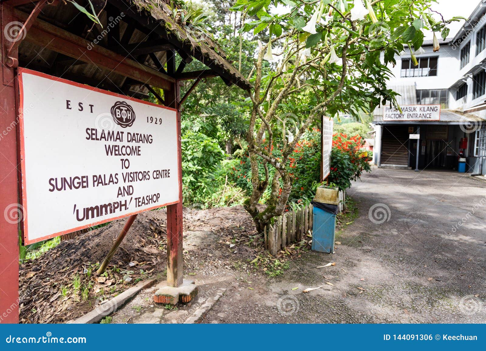 CAMERON HIGHLANDS, MALAYSIA, APRIL 6, 2019: BOH Sungai ...