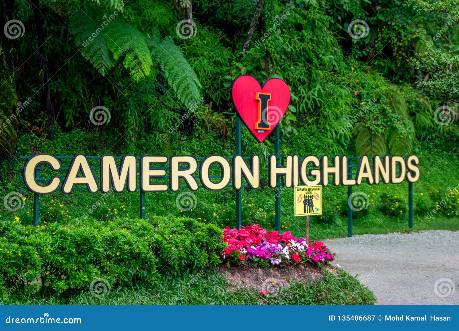 Highland cameron Mossy Forest