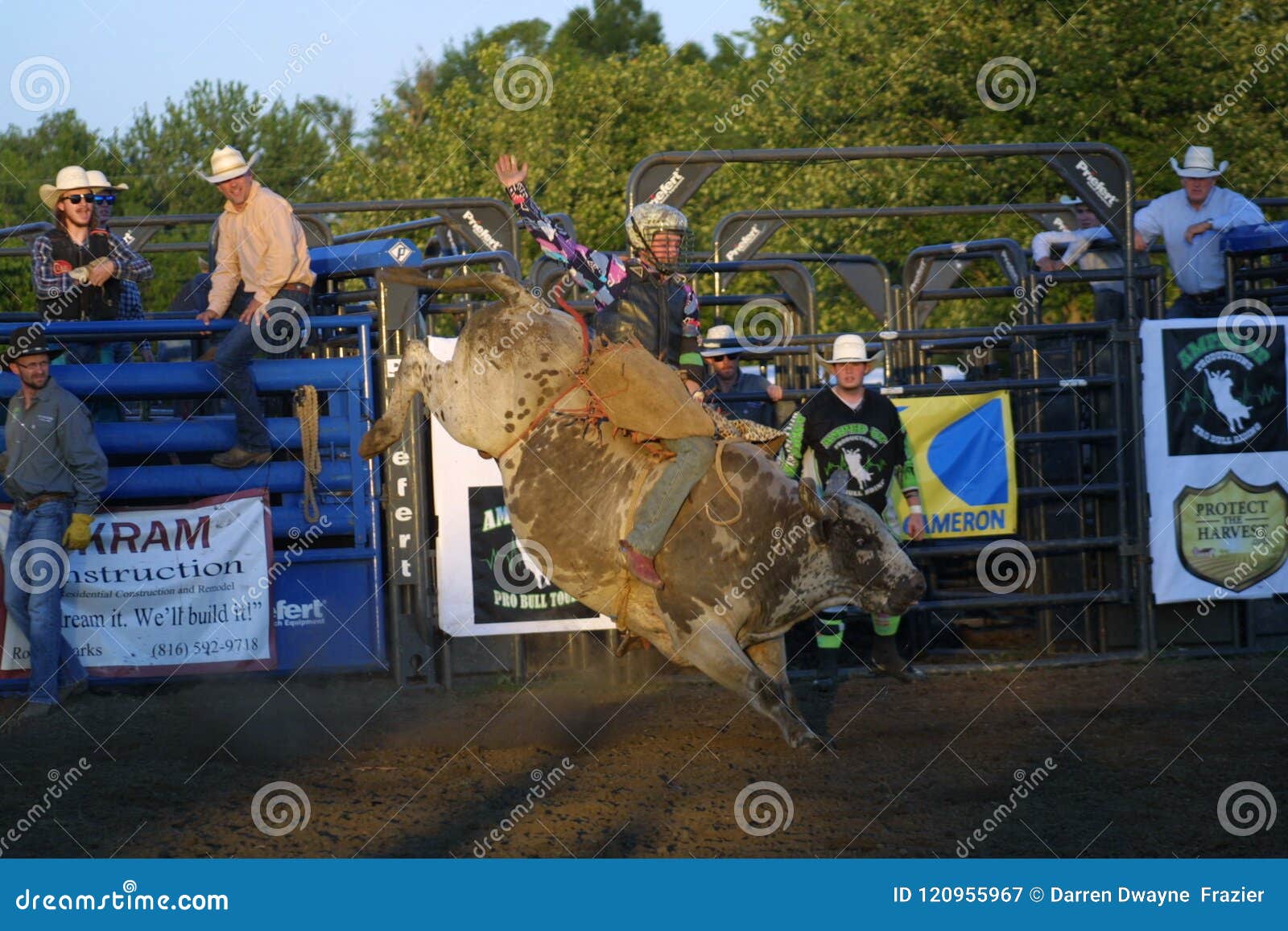 Cameron Missouri Bull Mania 2018 Editorial Photography Image of back