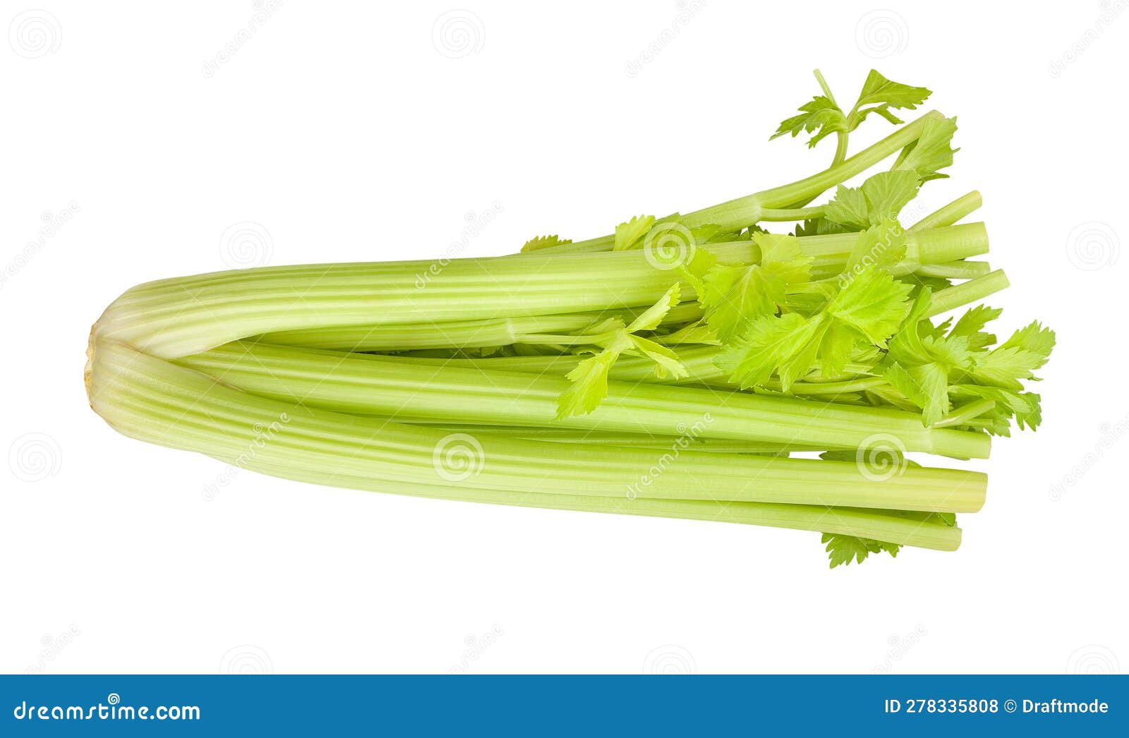 Caminho Do Stalk Celery Isolado Foto de Stock Imagem de folha