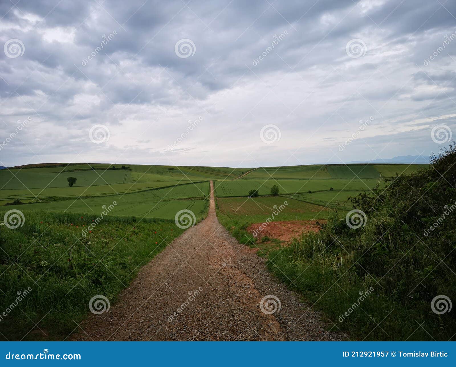 camino de santiago / day 9 / fields and sky on the way
