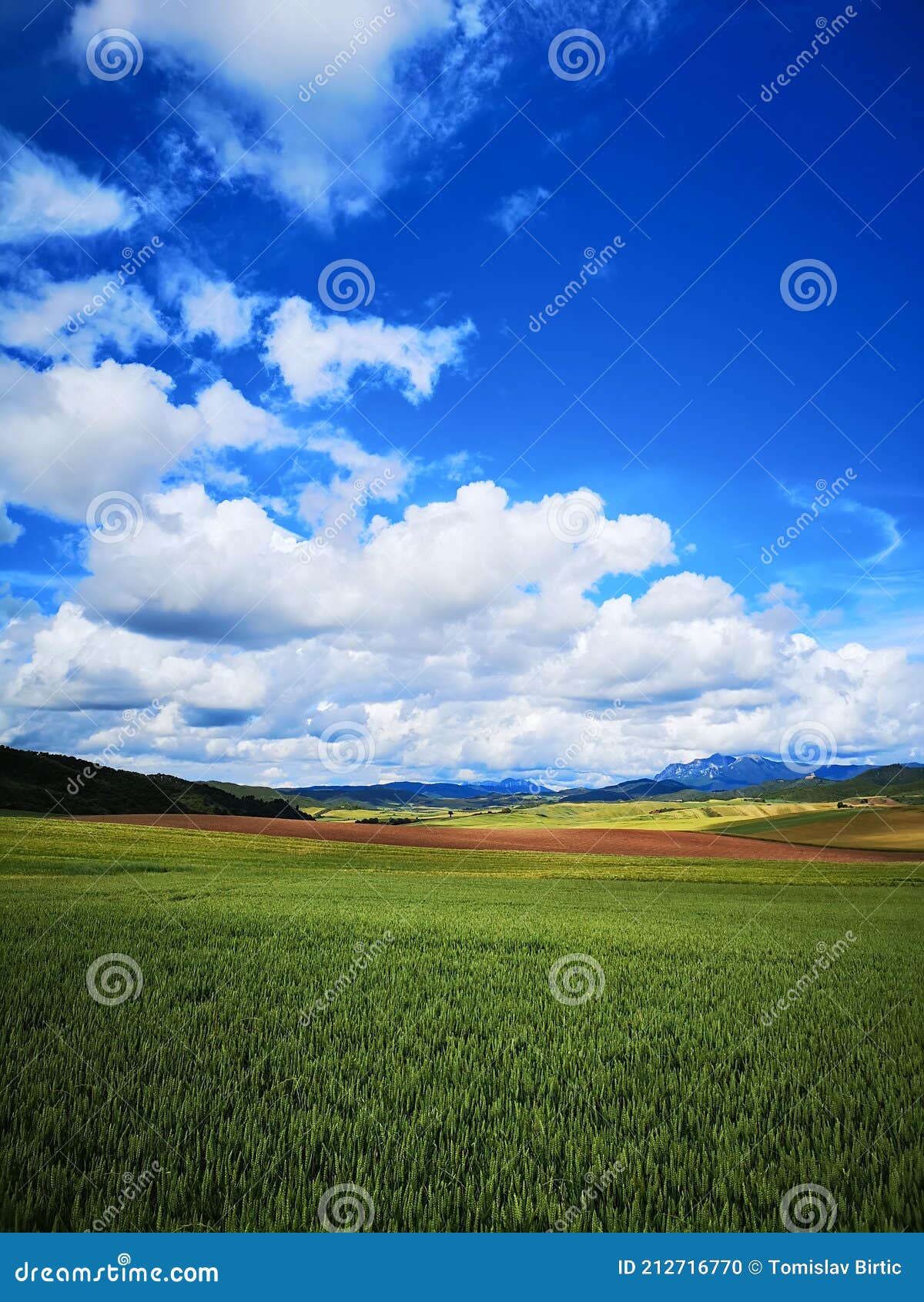 camino de santiago / day 6 / idyll / fields and sky in navarra, spain