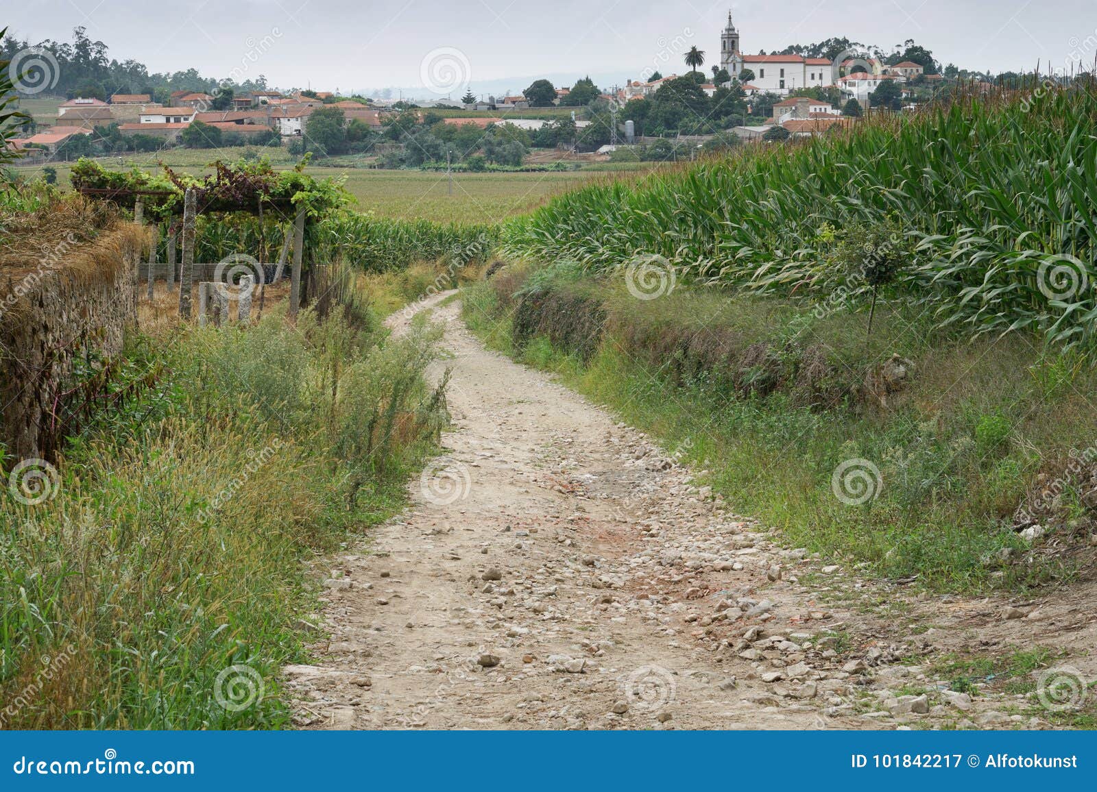 1+ Thousand Camino Portugues Royalty-Free Images, Stock Photos & Pictures