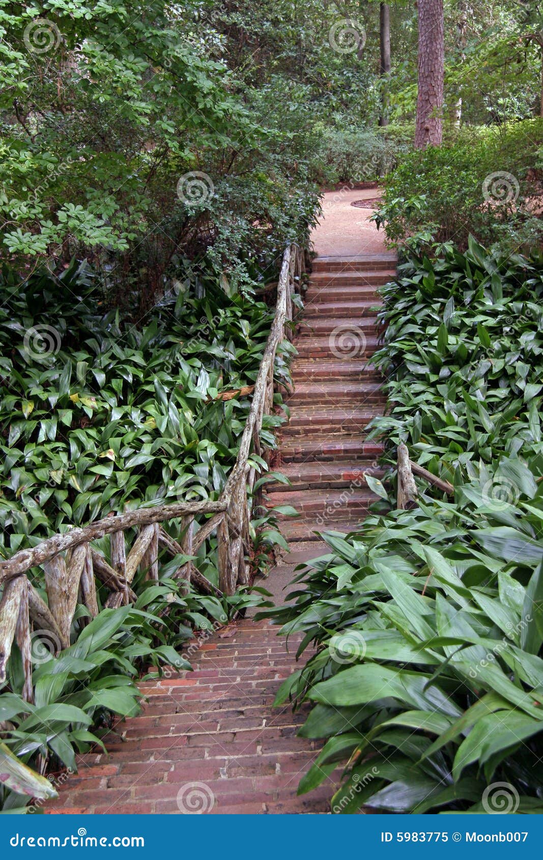 Un camino del ladrillo que entra el bosque