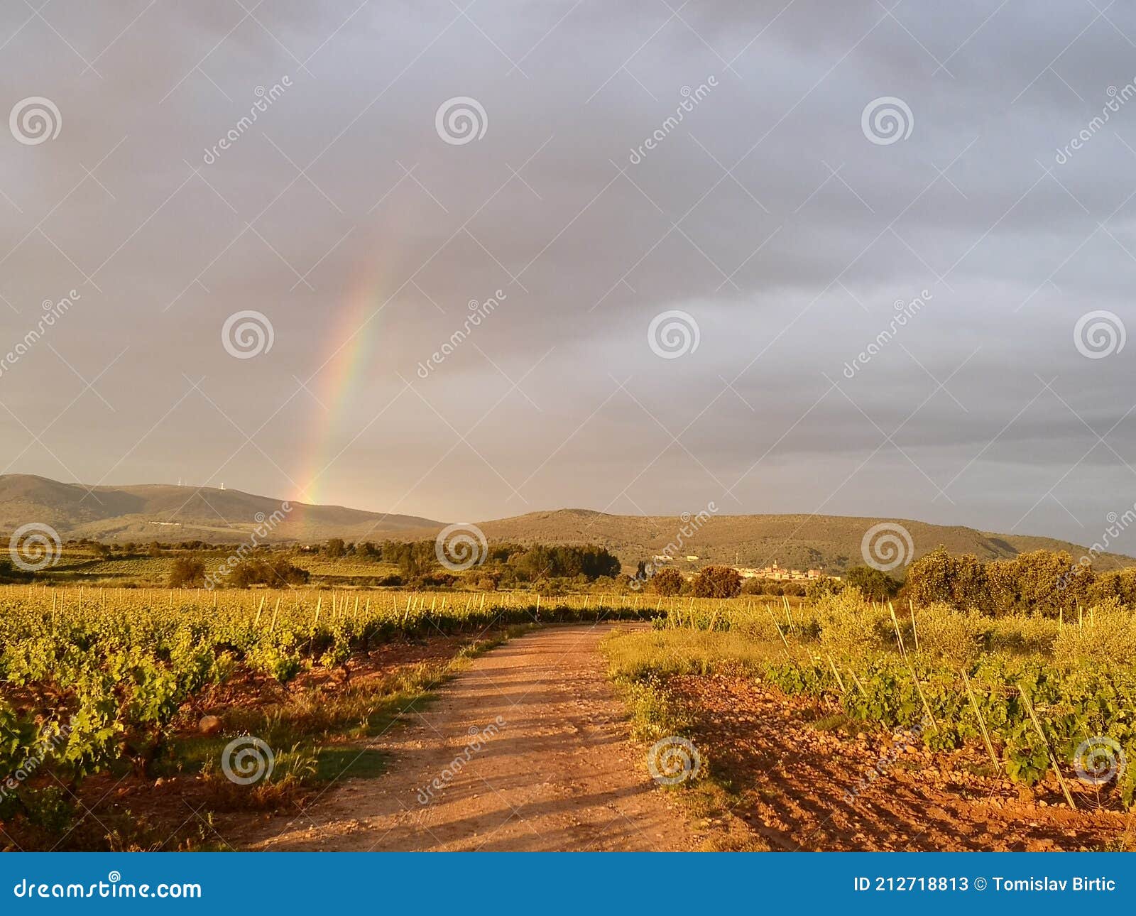 camino de santiago / day 8 / navarrete - ciriuena