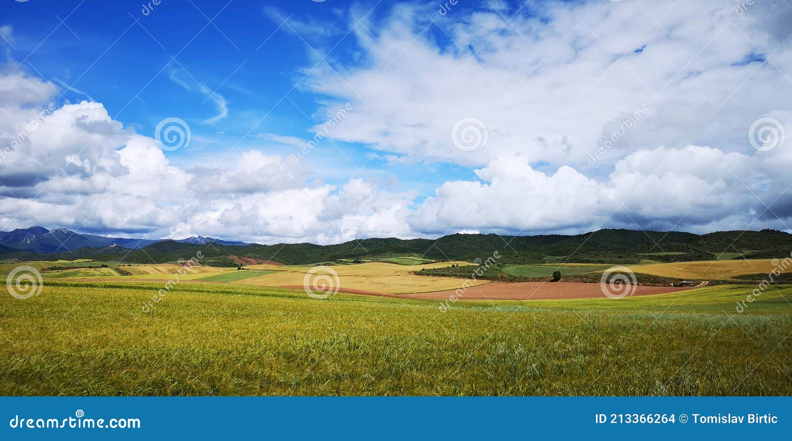 camino de santiago / day 6 / supernal pastoral field and sky in navarra, spain