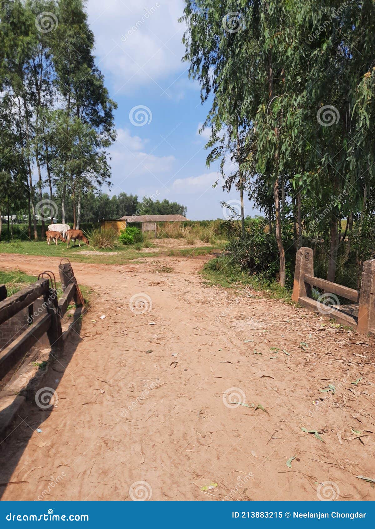 Caminos de pueblo indias imagen de archivo. Imagen de canal 213883215