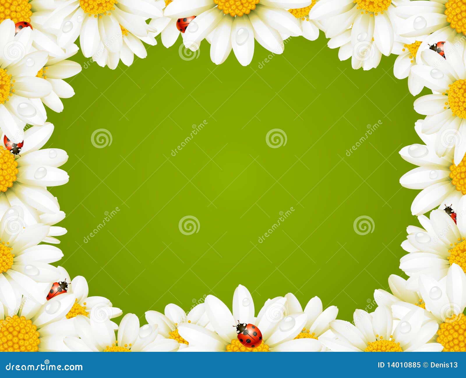 camomile floral frame