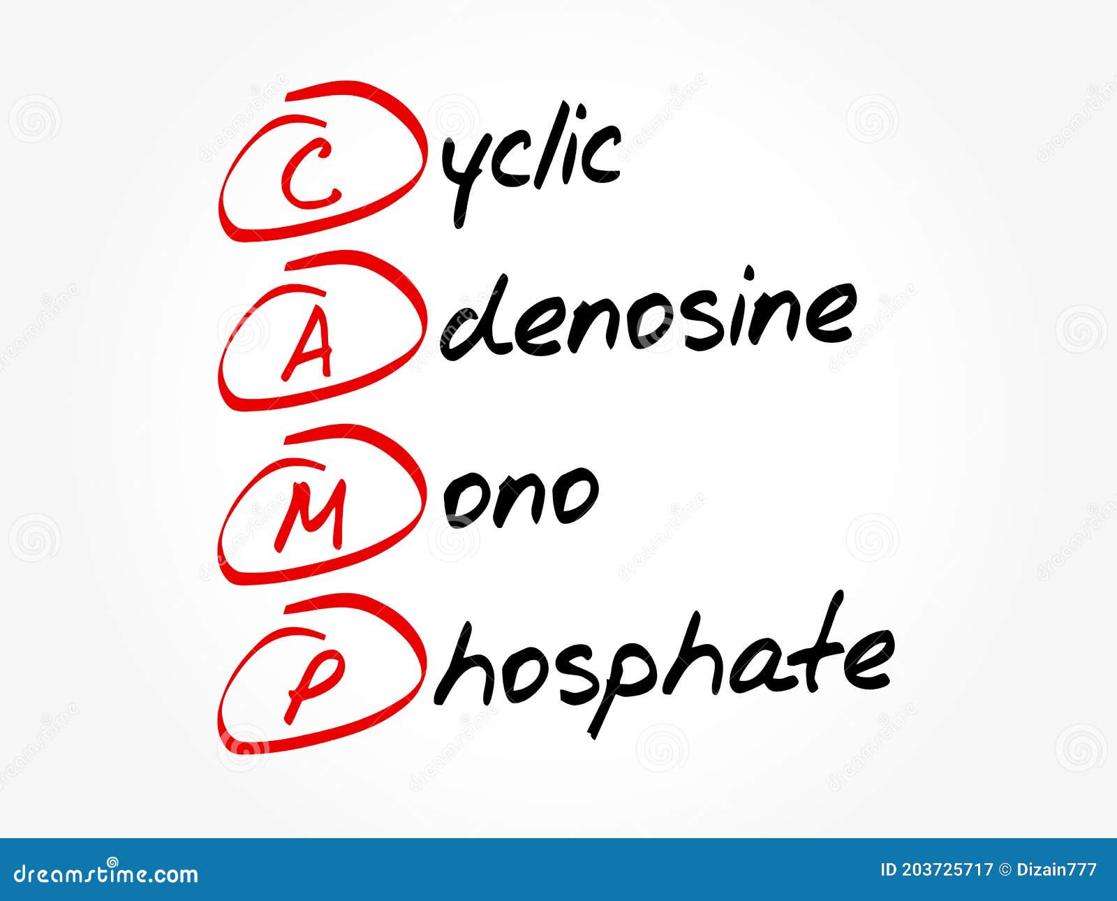 CAMP Cyclic Adenosine MonoPhosphate Acronym, Medical Concept Background RoyaltyFree Stock