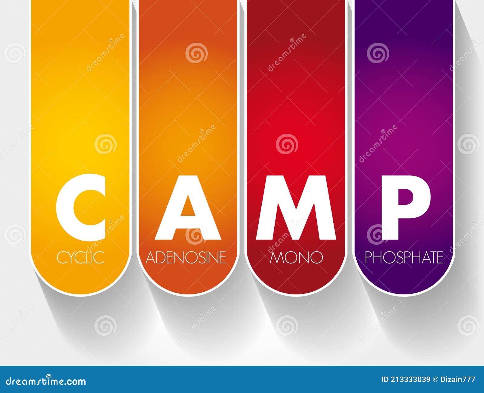 CAMP Cyclic Adenosine MonoPhosphate Acronym, Medical Concept Background RoyaltyFree Stock
