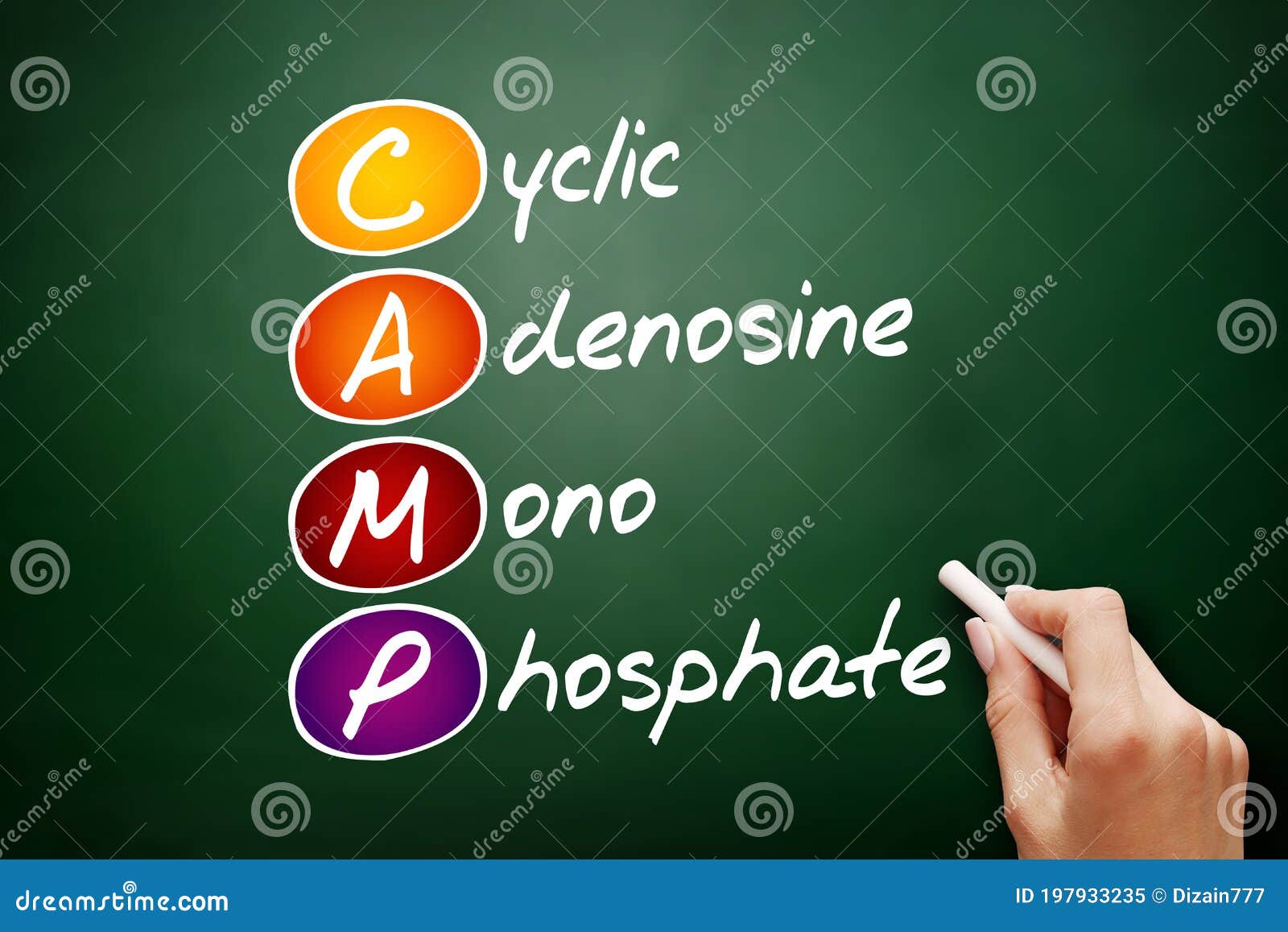 CAMP Cyclic Adenosine MonoPhosphate Acronym, Medical Concept Background RoyaltyFree Stock