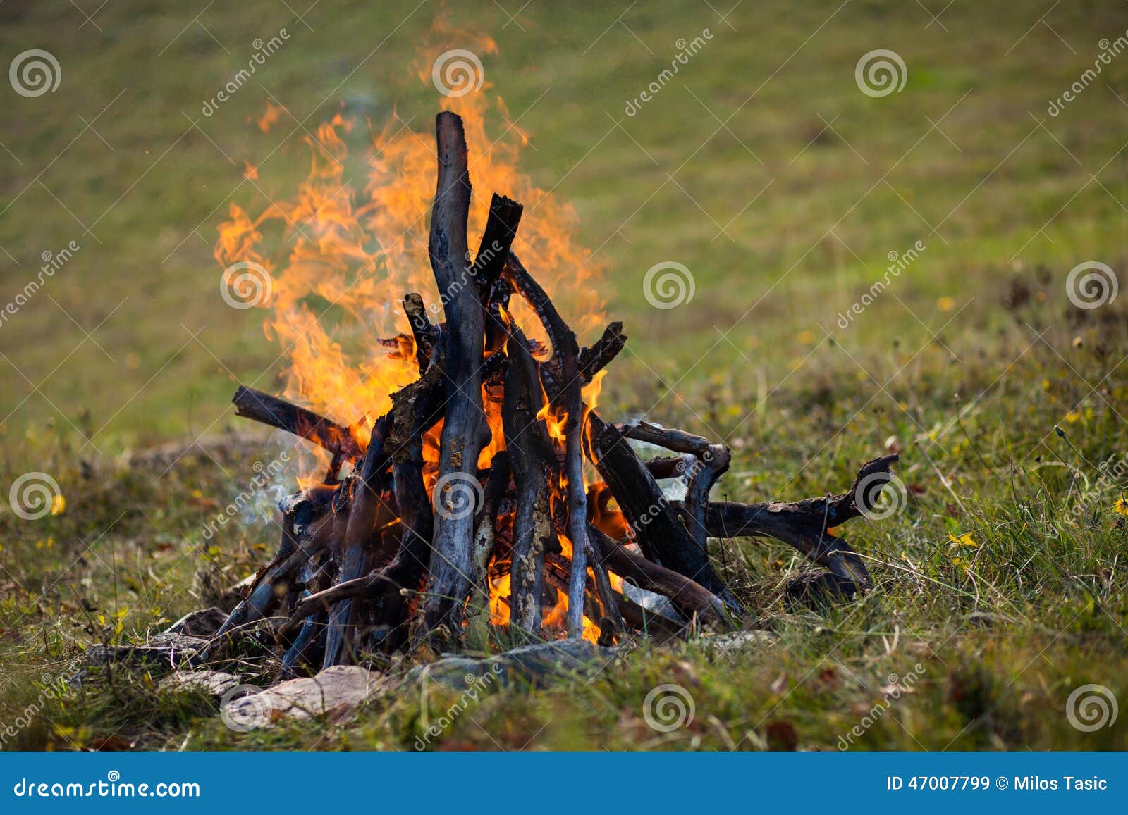 Camp fire stock image. Image of adventure, fiery, combustible - 47007799