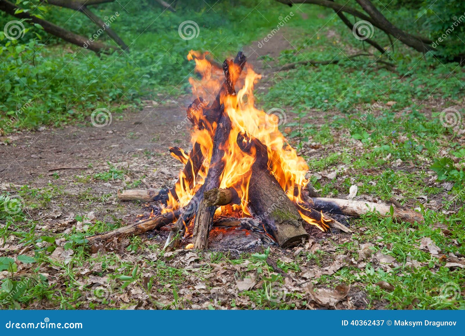 Camp fire stock image. Image of weekend, park, adventure - 40362437