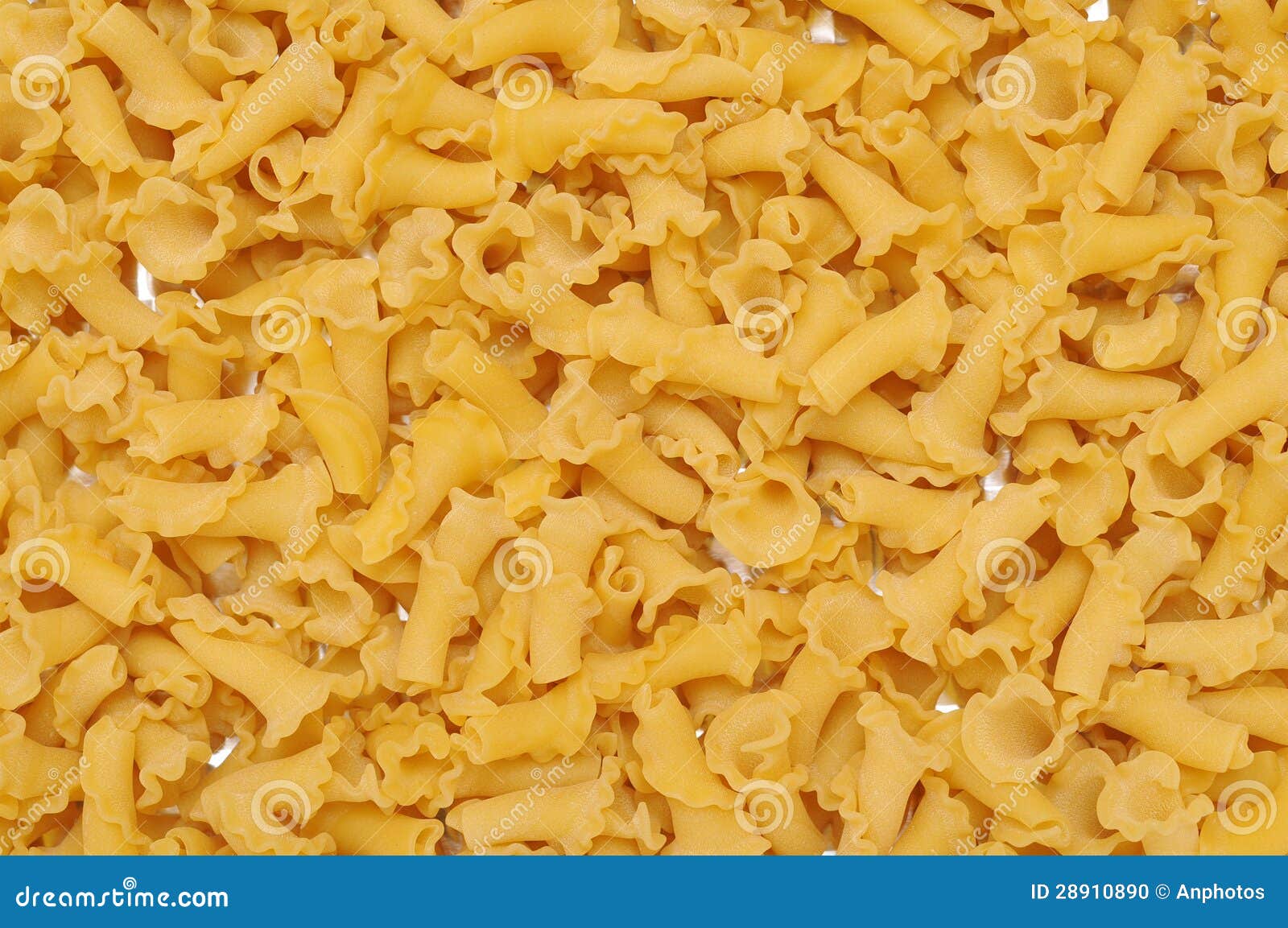Campanelle pasta stock photo. Image of healthy, assortment 28910890