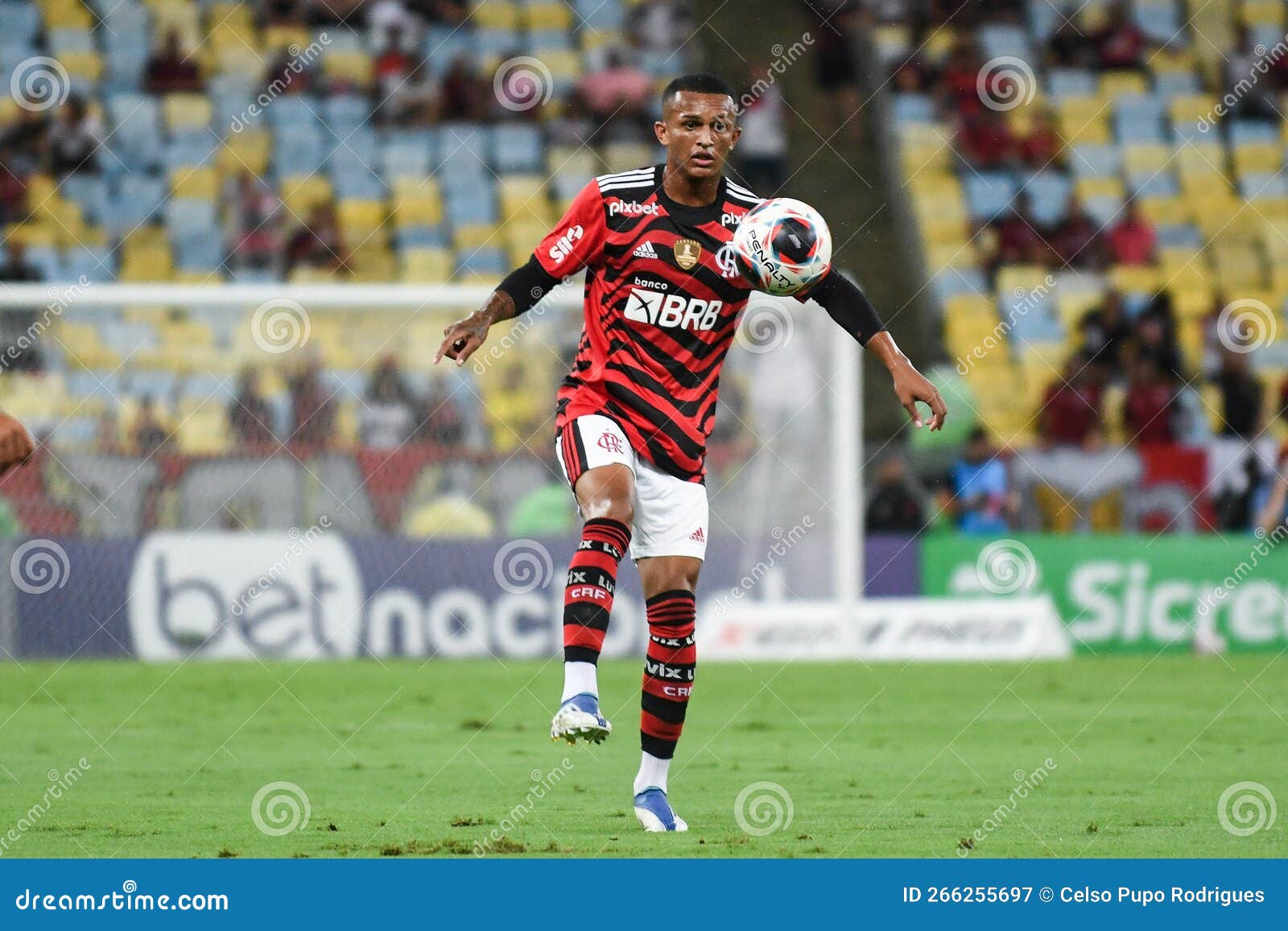 Campeonato Carioca De 2023 Flamengo Vs Audax Rio Imagem de Stock - Imagem  de torneio, ativo: 266255697