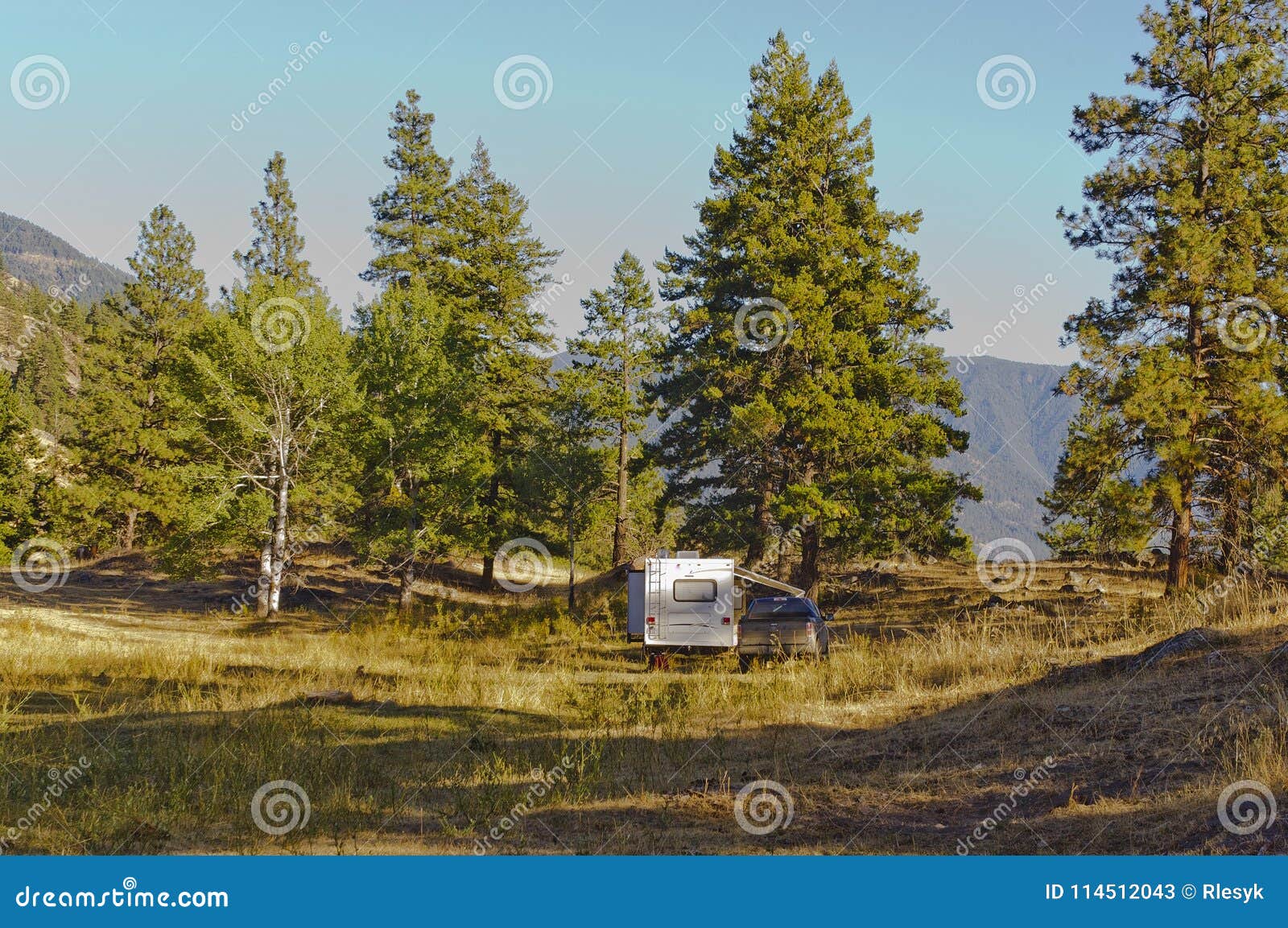 Camper Set Up In A Meadow In A Pine Forest Stock Image