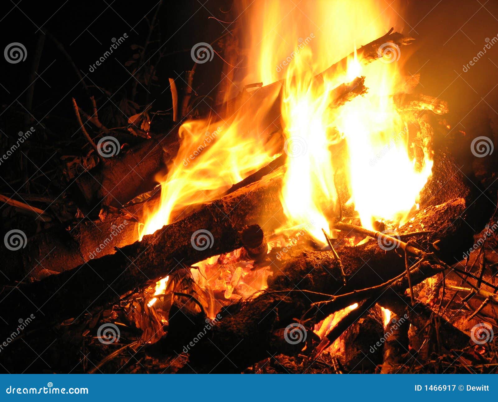 Peaceful small campfire at night